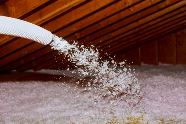 Best Cellulose Insulation in Laton, CA